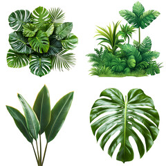 Tropical leaves collection illustration