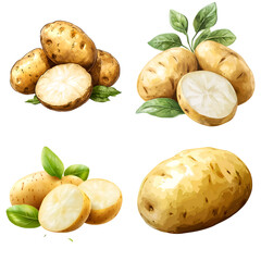 Four illustrative images of whole and sliced potatoes against a dark background