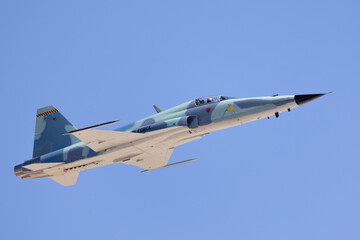 bottom view  of a F-5E Tiger II in the aggressor color scheme, approaching in beautiful light