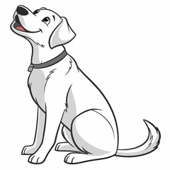 Adorable white labrador retriever puppy sitting on white background