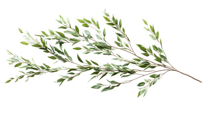 Obraz premium A detailed view of a green branch showcasing leaves on a white isolated background.