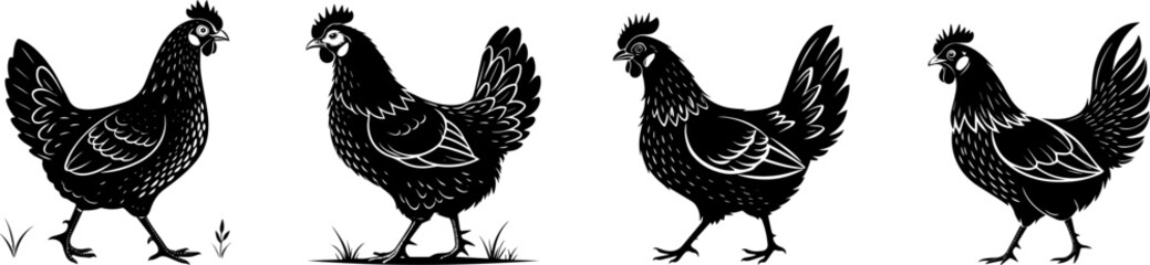 Walking Hen Silhouettes, Black Chicken Vector Set for Farm Animal Illustrations and Designs