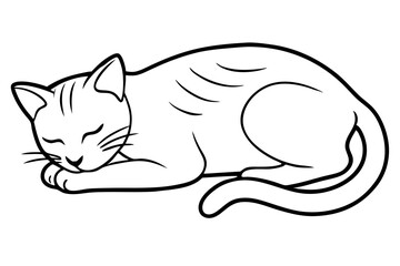 cat sleeping  silhouette vector illustration