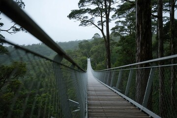 Fototapeta premium Otway Fly Treetop Walk, Australia