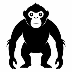 chimpanzee silhouette on white background