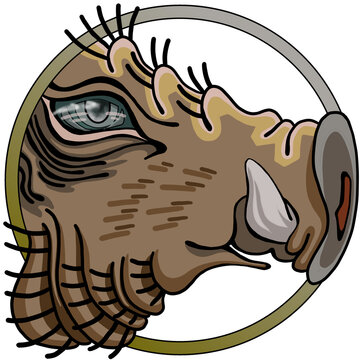 猪突猛進 Images – Browse 503 Stock Photos, Vectors, and Video