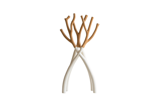 Artistic coat stand with smooth white legs and natural wood branches for hooks, sleek and sculptural, isolated on a transparent background
