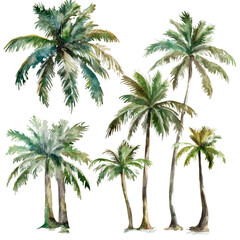 A set of palm trees are drawn in watercolor, with some trees taller than others