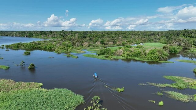 Boat Sailing In Manaus Amazonas Brazil. Tourists Enjoying Boat Trip Over Tropical Water Scenery. Bolivia River Forest Background Coast. Bolivia Travel. Manaus Amazonas.