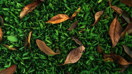 Grass with Dry Leaves Texture : Suitable for Be Used as Background and Content in Any Project (Print, Graphic Design, Blog Posts, Social Media Posts or Website Related to Environment Theme)
