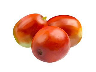 なつめ（生果）