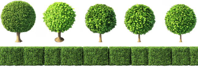 Set of realistic tree images with various angles showcasing lush green foliage and vibrant textures, perfect for landscaping or nature themed projects