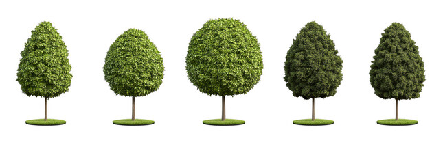 Realistic tree images showcasing various angles and styles, highlighting beauty of nature. Each tree displays unique foliage and shape, creating vibrant and lush atmosphere