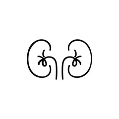 Kidney Line Style Icon Design