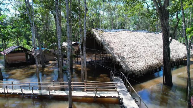 Aboriginal Indian Tribe In Manaus Amazonas Brazil. Stunning River Winds Through A Lush Tropical Rainforest. Forest Environmental Amazon Green. Forest Wilderness Panning Wide. Manaus Amazonas.