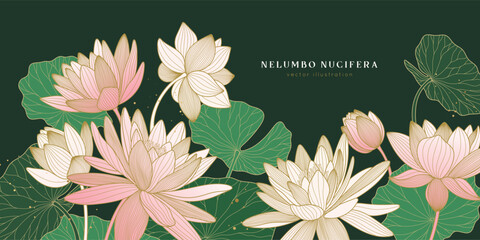 Luxury asian poster with lotuses and water lilies. Vector pink flowers, green leaves, golden lines.