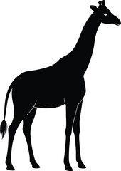 giraffe silhouette isolated on white