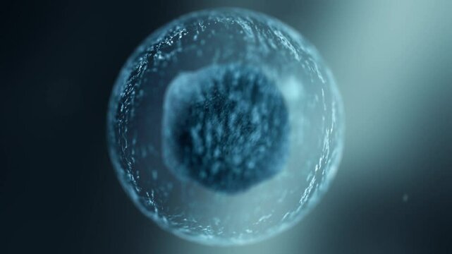 3D Visualization of Single Cell with Nucleus, Microscopic Biology Concept, Scientific Cellular Structure Illustration  
