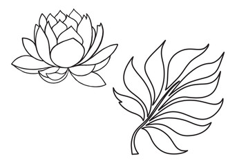 lily flower and leaves o...