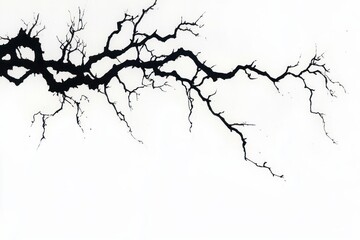 Black silhouette of a bare tree branch with many small twigs on a white background, conveying starkness and minimalism