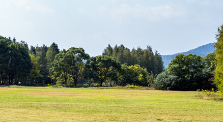 Tranquil Green Landscape Surrounded by Lush Trees and Clear Skies