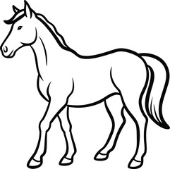 vector illustration of a horse