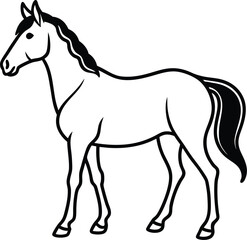 Fototapeta premium horse vector illustration