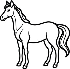 vector illustration of a horse