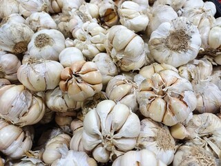 pile of garlic, used for background and design