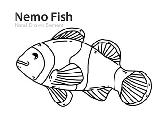 vector illustration of a Nemo fish