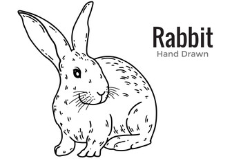 vector illustration of a rabbit