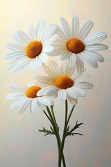 Naklejka premium Close-up of four white daisy flowers with bright yellow centers on green stems against a soft beige background evoking calmness and simplicity