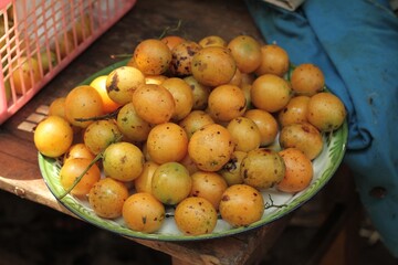 Ramania is a forest fruit that only bears fruit once a year. Kalimantan Indonesia