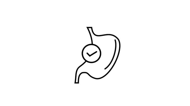 This is an animated video of a stomach icon suitable for use in animated content videos, health advertisements, stomach medicine, ulcers, gerd, stomach acid, webinars, counseling, training, doctors, 
