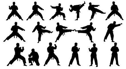 Martial Arts Fighter Silhouette Bundle in Various Movements