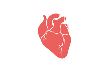 A Stylized Vector Graphic Of An Anatomical Human Heart In Coral Color On A White Background