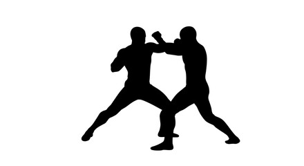 Silhouette of Two Fighters in Punching Combat
