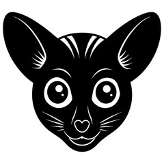 vector illustration of a cat
