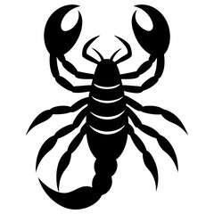 Obraz premium black and white scorpion