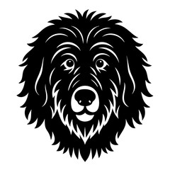 Fototapeta premium lion vector illustration