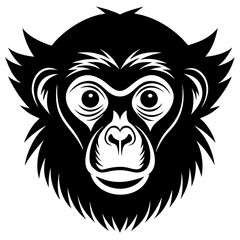 Obraz premium lion head vector