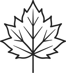 Obraz premium vector illustration of a leaf