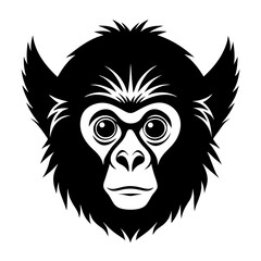 Obraz premium lion head vector