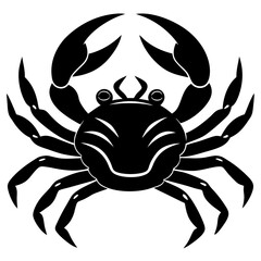 Fototapeta premium crab spider vector