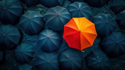 An artistic shot of a colorful umbrella among plain ones