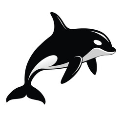 Fototapeta premium dolphin isolated on white background