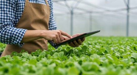 Farmer or Agronomist Using a Digital Tablet to Monitor and Manage Healthy Green Plants in a Modern Greenhouse