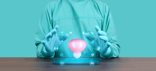 A urologist surgeon displays an anatomical model and 3D hologram of the prostate and bladder on a...