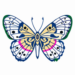 Colorful Butterfly Illustration, Detailed Wing Design, Nature Art