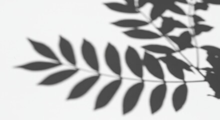 Abstract Background with Gray Leaf Shadow Overlay